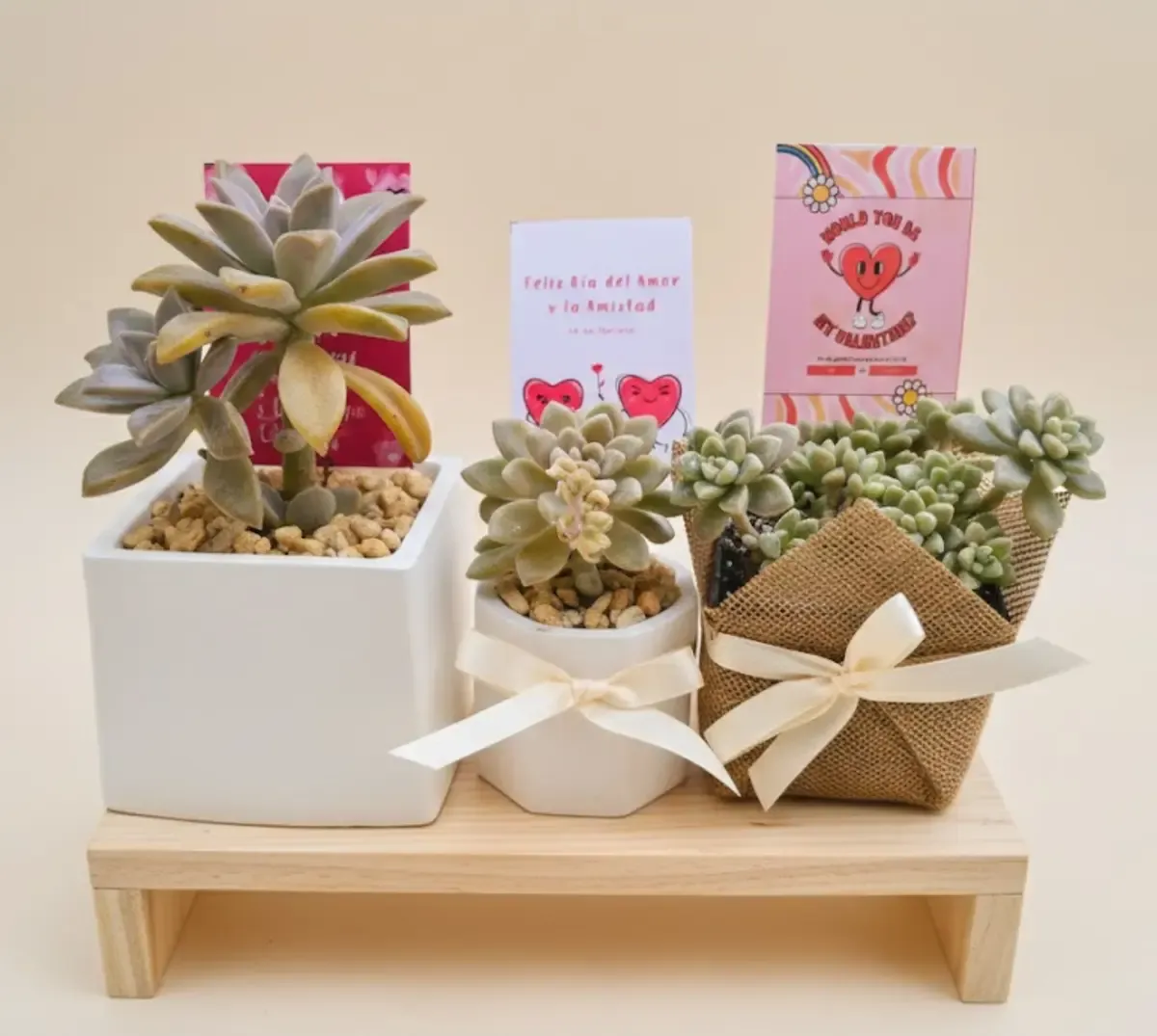 Comparativa de tamaños y estilos