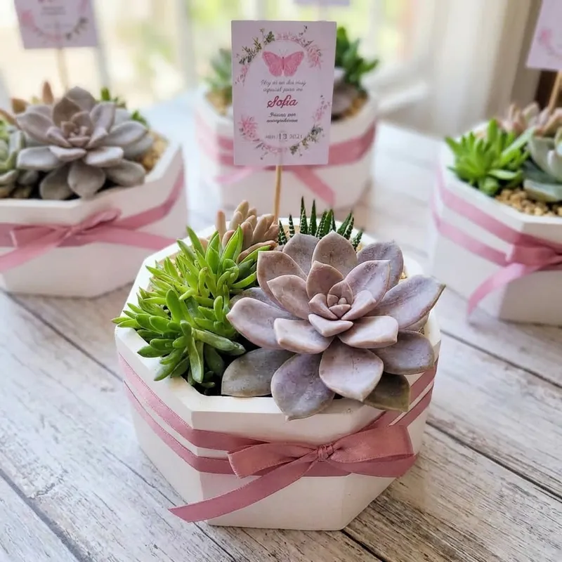 Modelo Jardín - Maceta de yeso blanco elegante